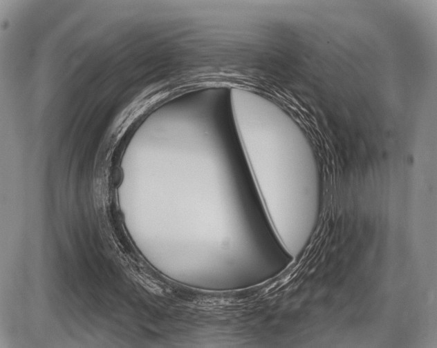 X0000086100291200703231058