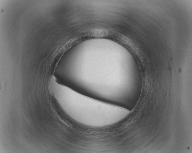 X0000086100307200703231057