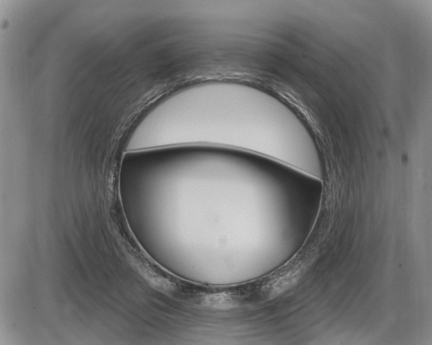 X0000086100309200703231057