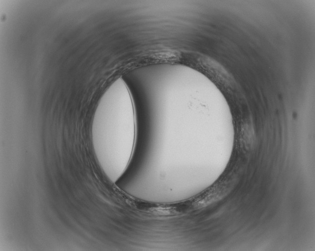 X0000086100320200703231057