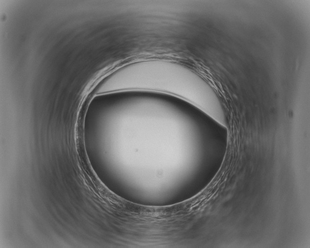 X0000086100340200703231056
