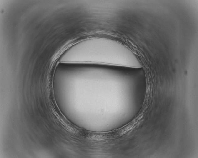 X0000086100341200703231056