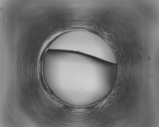 X0000086100342200703231056
