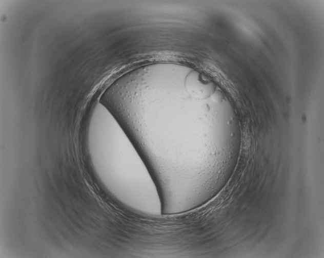 X0000086100347200703231056