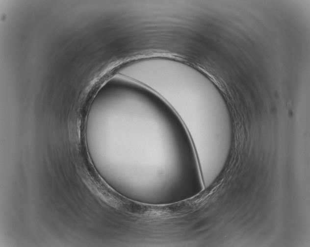 X0000086100350200703231056