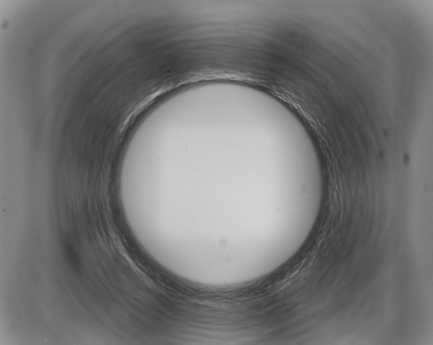 X0000086100352200703231056