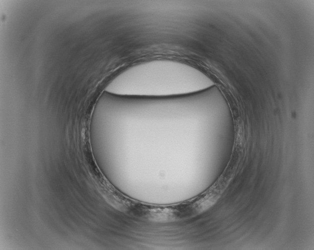 X0000086100363200703231056