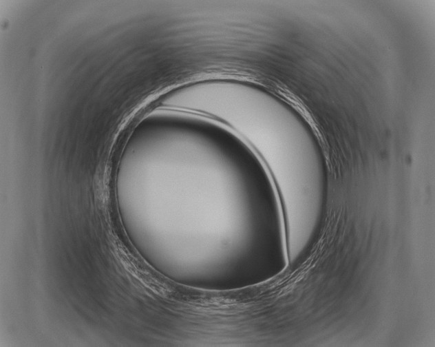 X0000086100387200703231056
