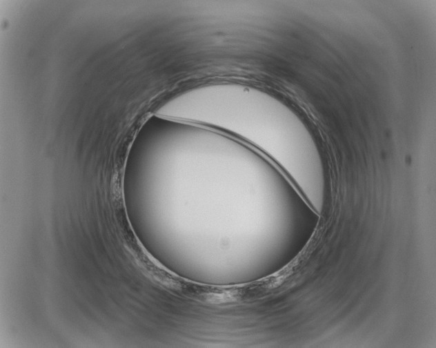 X0000086100411200703231056