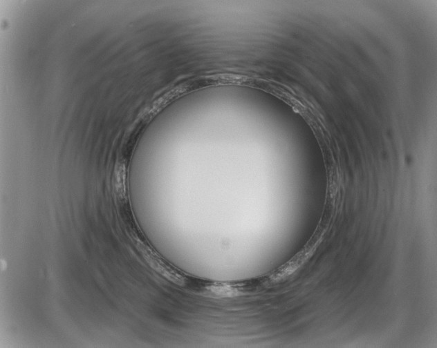 X0000086100425200703231055