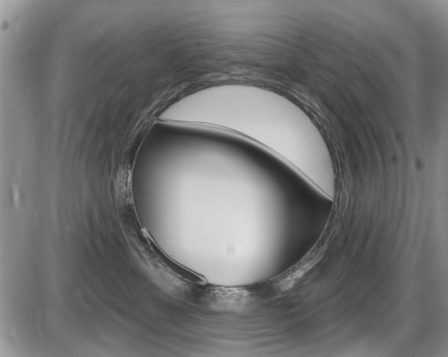 X0000086100429200703231055