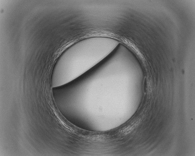 X0000086100433200703231054
