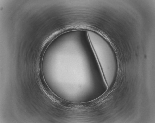 X0000086100438200703231055