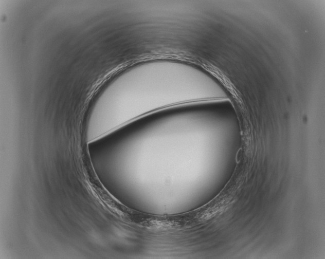 X0000086100442200703231055
