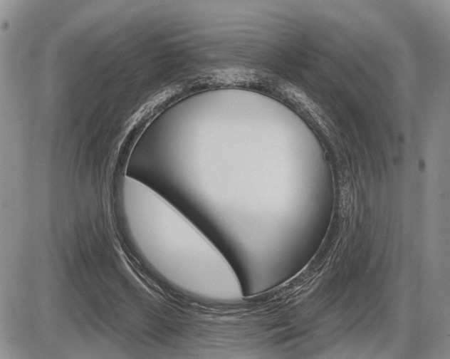 X0000086100443200703231055