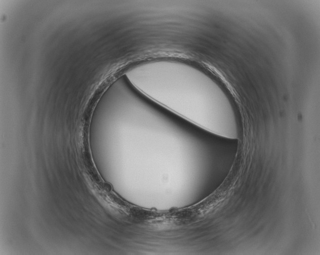 X0000086100447200703231055