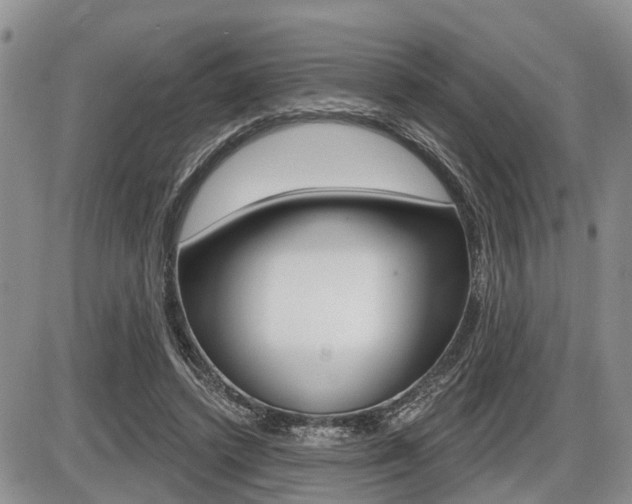 X0000086100448200703231055
