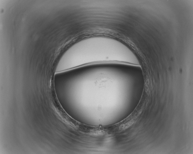 X0000086100454200703231055