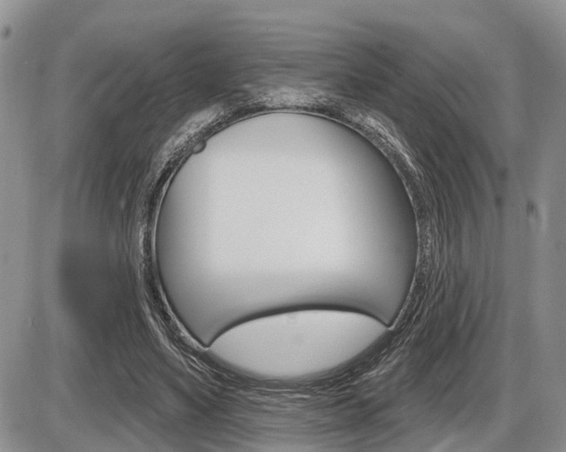 X0000086100491200703231054