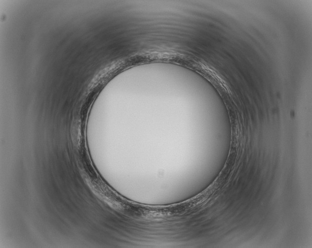 X0000086100494200703231054