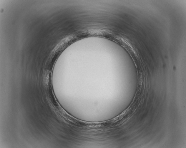X0000086100495200703231054