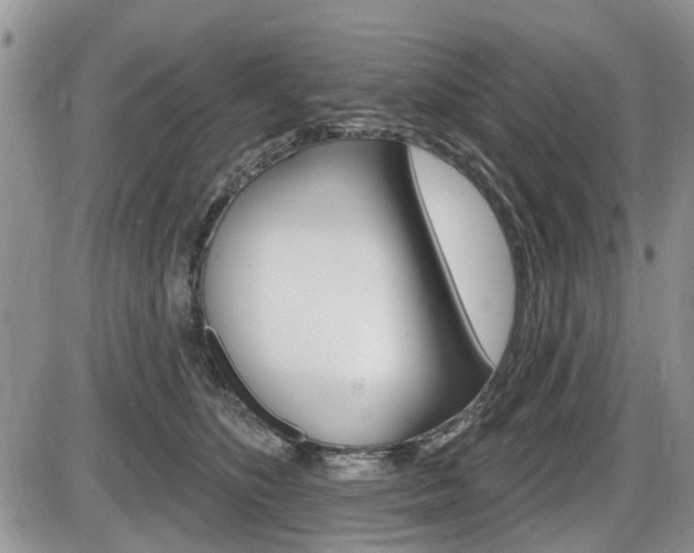 X0000086100516200703231054