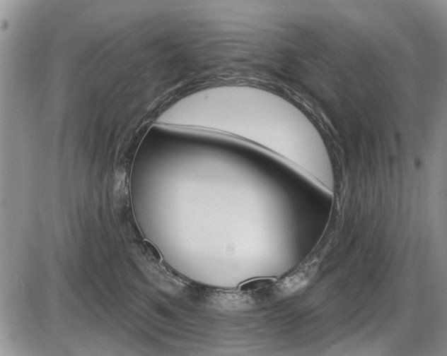 X0000086100521200703231054
