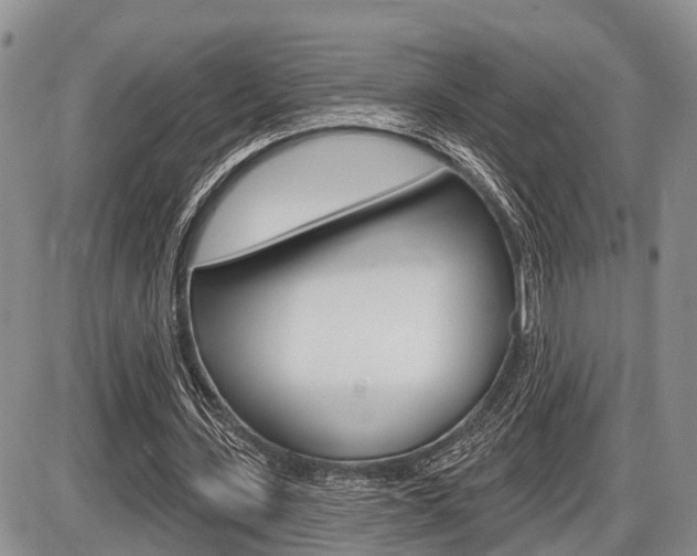 X0000086100531200703231053