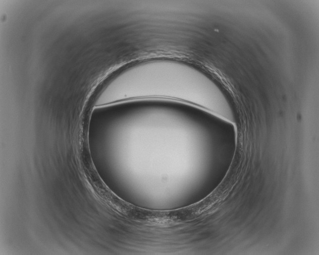 X0000086100540200703231053