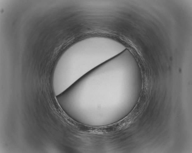 X0000086100545200703231053