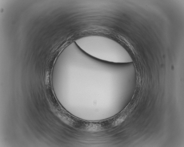 X0000086100549200703231053