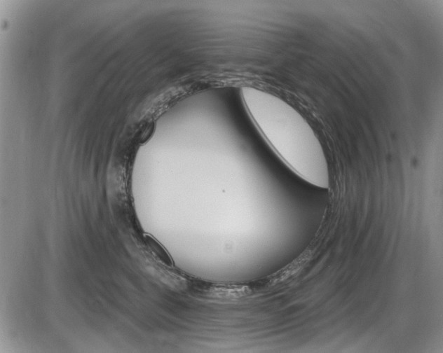 X0000086100571200703231054