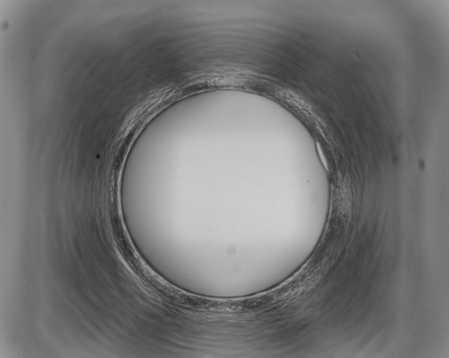 X0000086100586200703231053