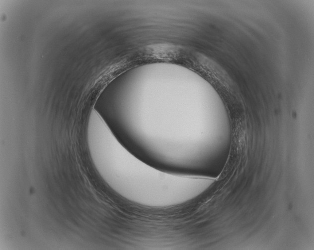 X0000086100595200703231053