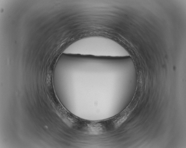 X0000086100603200703231052