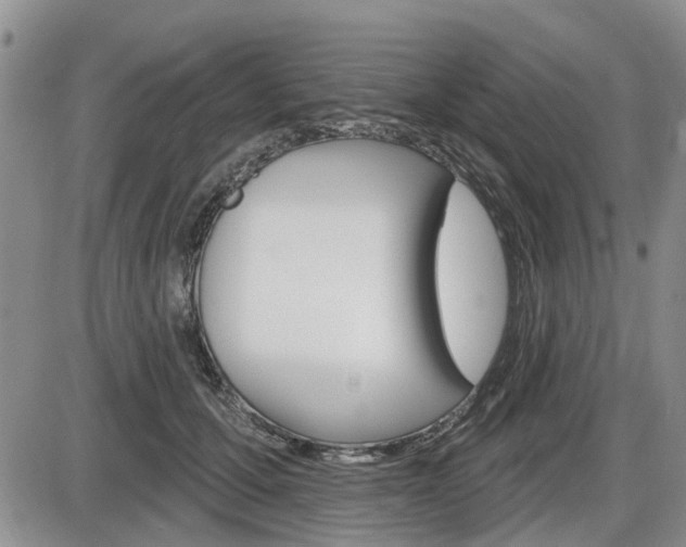 X0000086100607200703231052