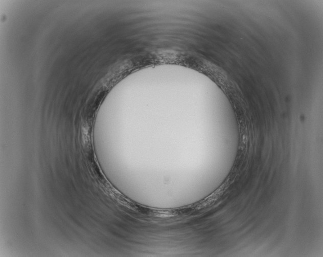 X0000086100610200703231052