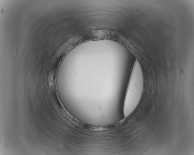 X0000086100611200703231052