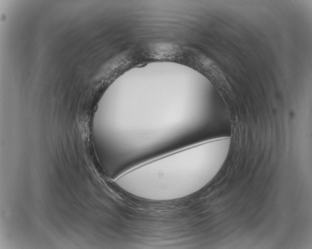 X0000086100620200703231052