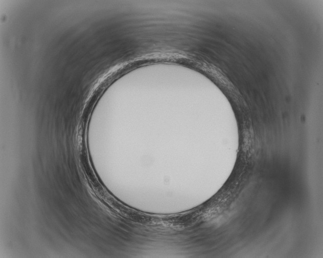 X0000086100632200703231051