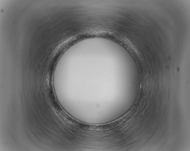 X0000086100640200703231051