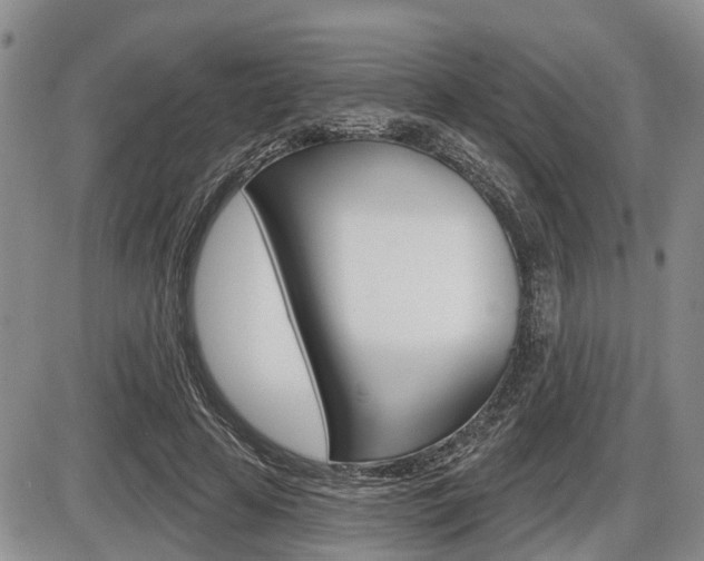X0000086100641200703231052