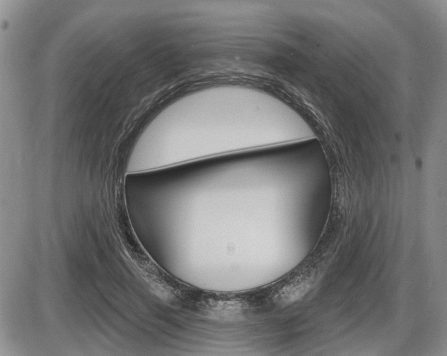 X0000086100645200703231052