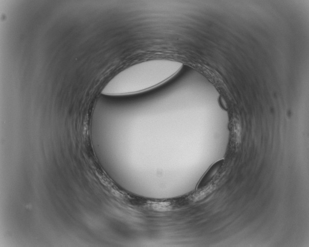 X0000086100665200703231052