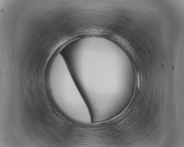 X0000086100675200703231051