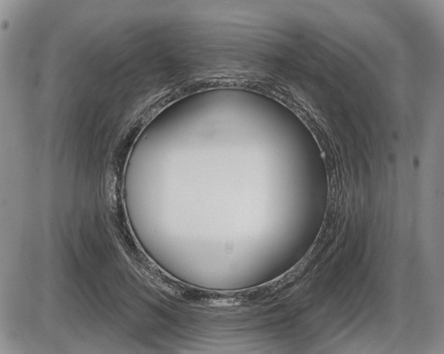 X0000086100692200703231051