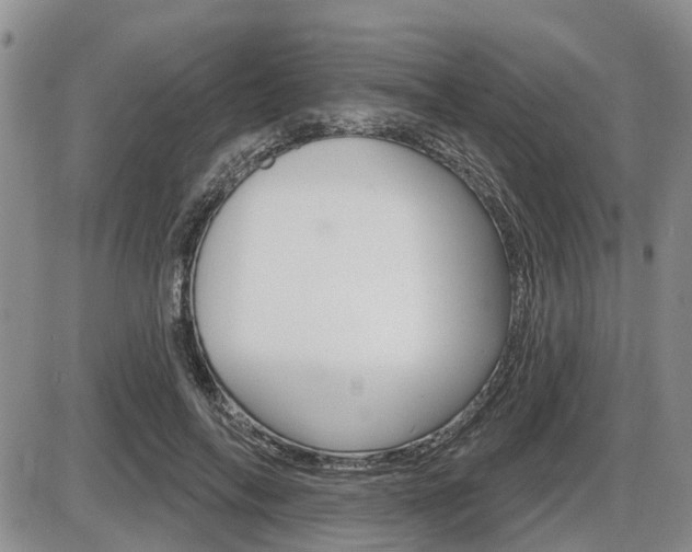 X0000086100694200703231051