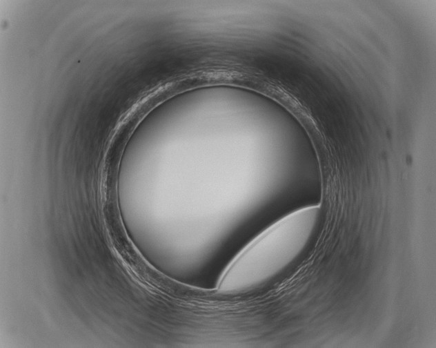 X0000086100722200703231050