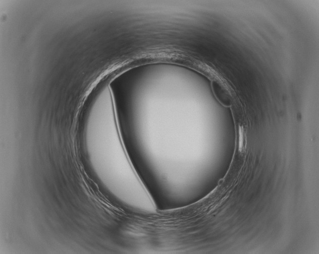 X0000086100723200703231050