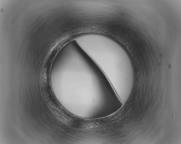 X0000086100731200703231050